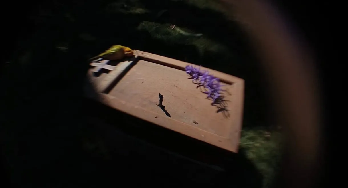 Todas as Cores da Vida e da Morte