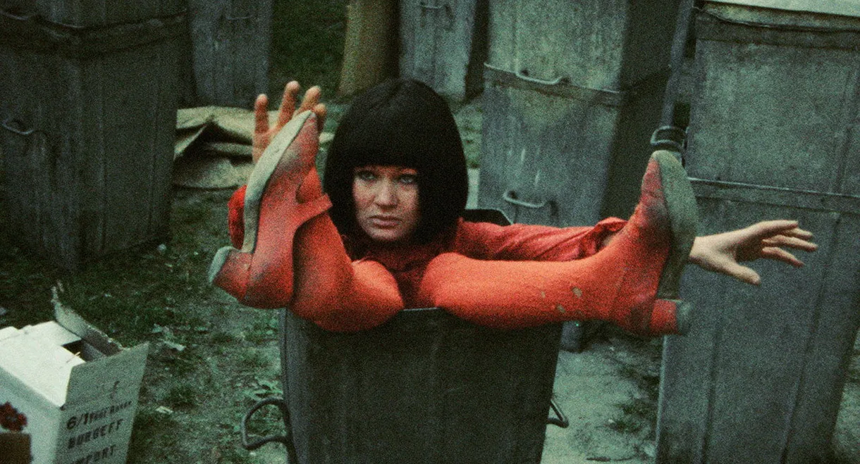 Tales of the Dumpster Kid