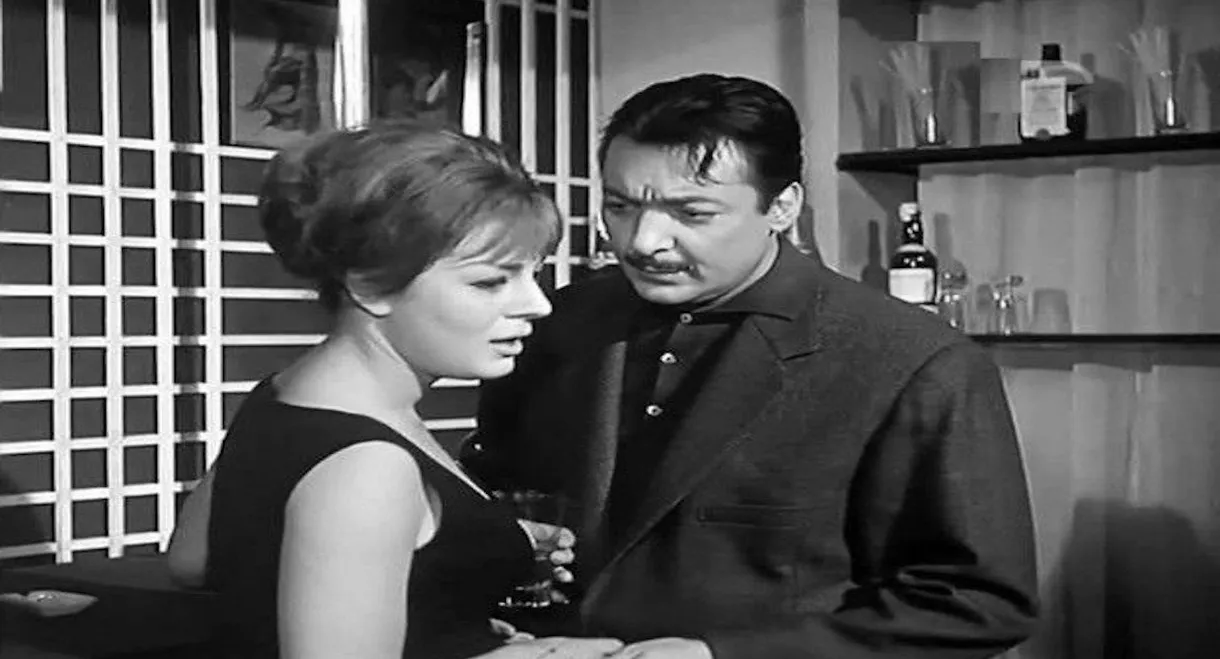 الباحثة عن الحب