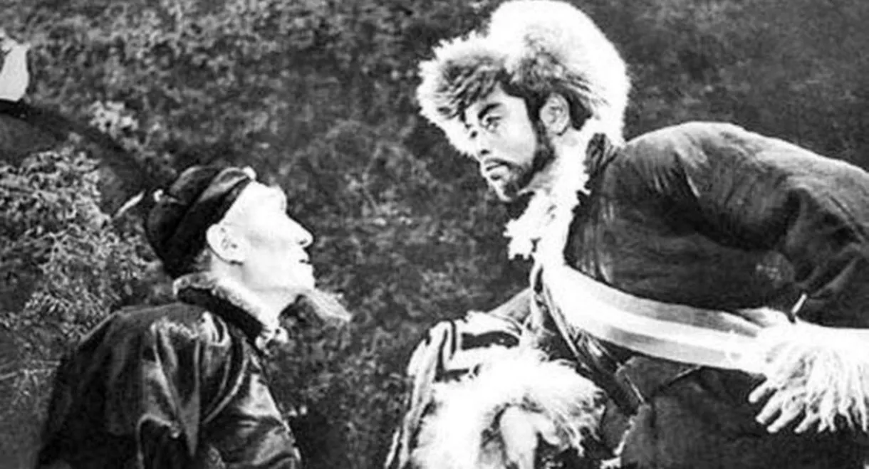 Tracks in the Snowy Forest