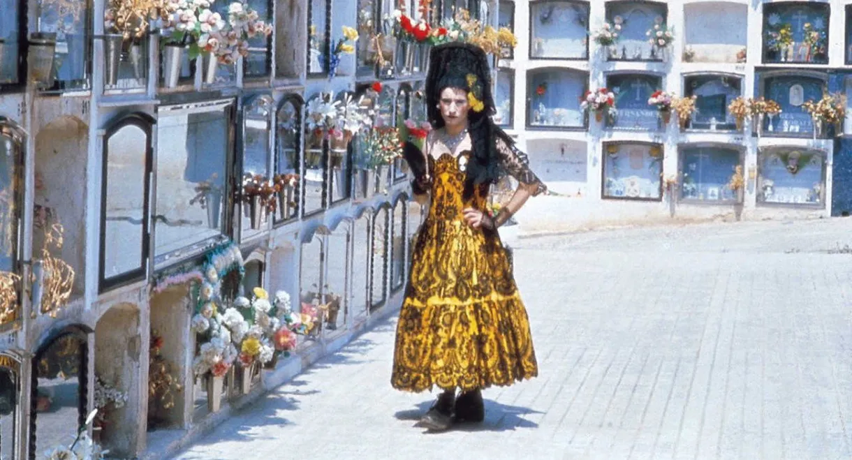 Ocaña: An Intermittent Portrait