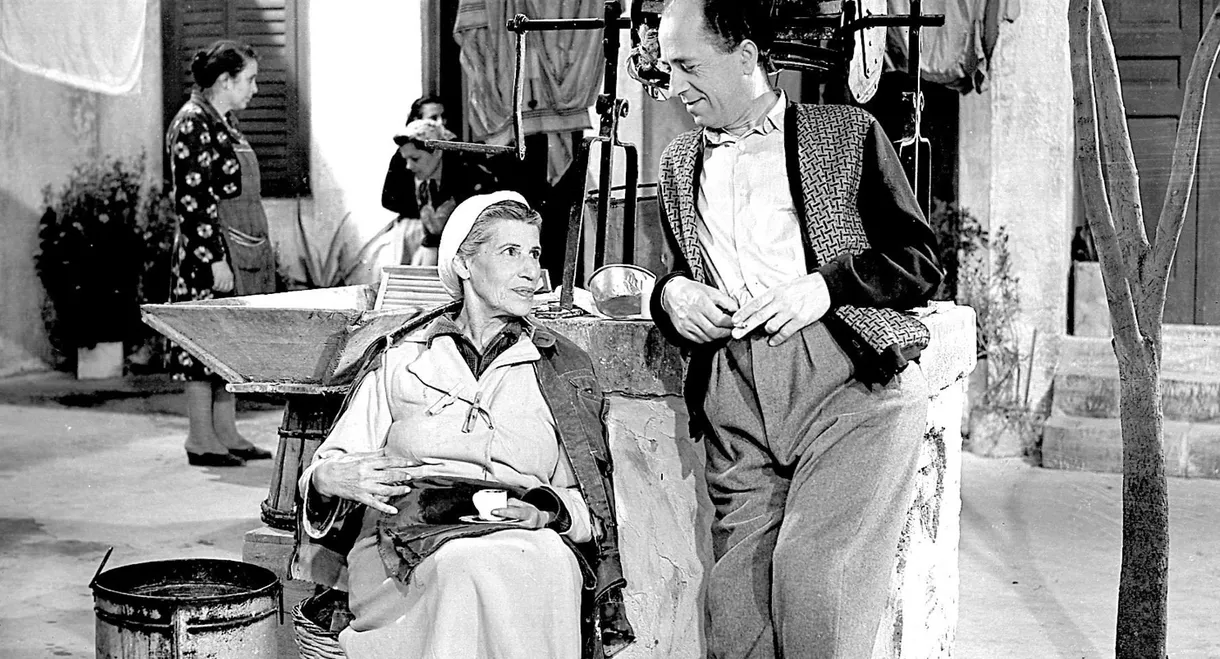 The Coffee Reader (Kafetzou)