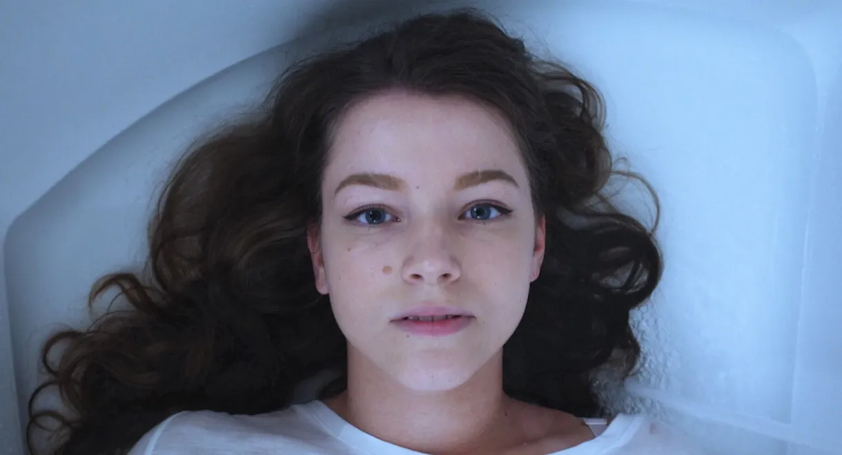 Wie Blätter im Wind