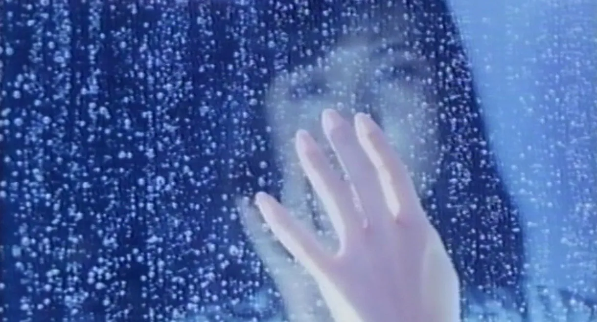 Love Letter in the Sand