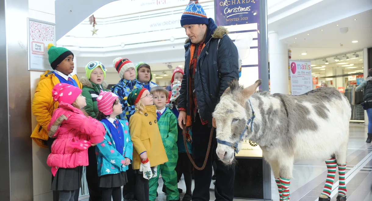 Nativity 3: Dude, Where's My Donkey?!