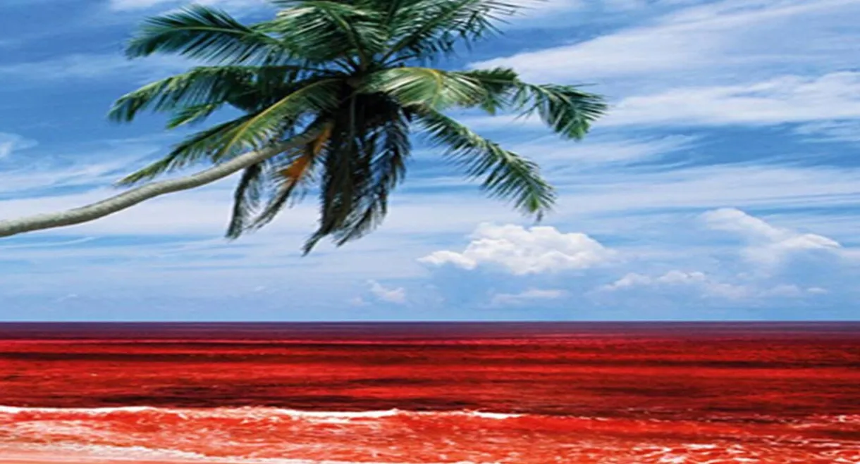 Sri Lanka's Killing Fields