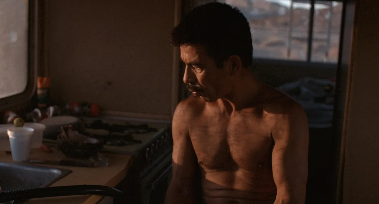 Una corriente salvaje