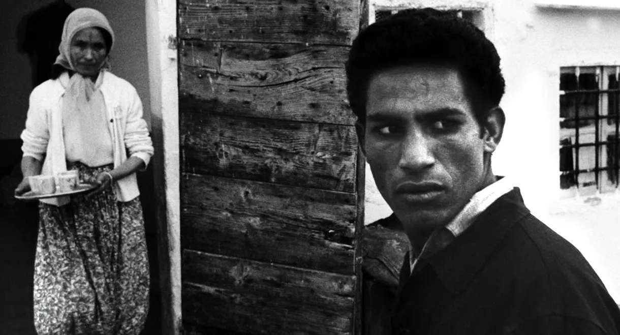 The Battle of Algiers