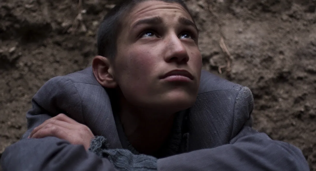 Empire of the Rabbits