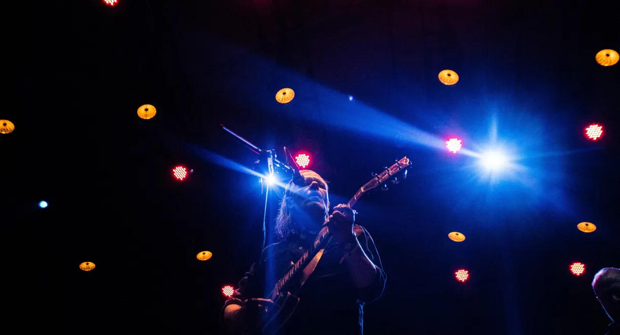 Swans: Open'er Festival, Gdynia