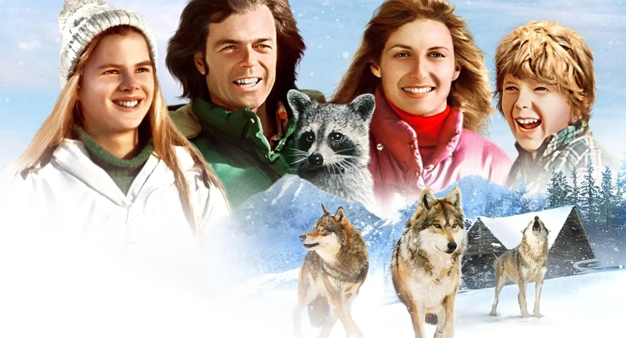 Adventures of the Wilderness Family 2