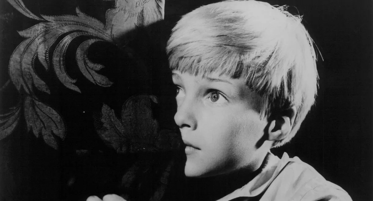 The Boy Cried Murder