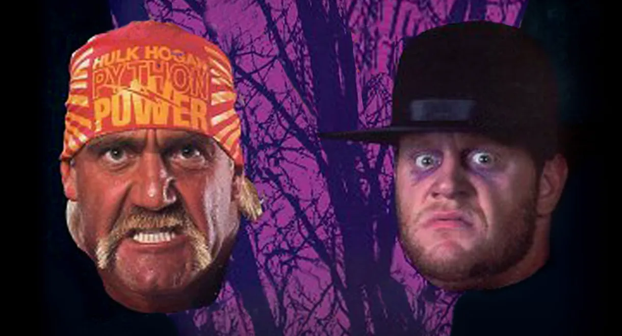 WWE Survivor Series 1991