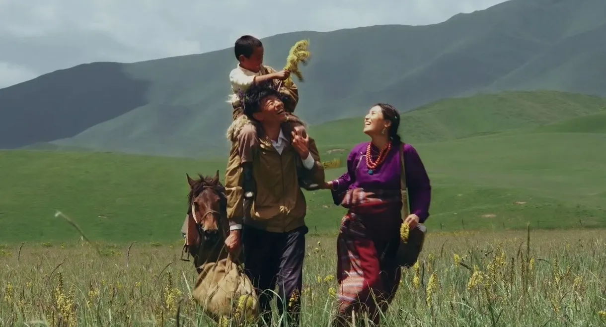 A Blossom of Love in Gannan