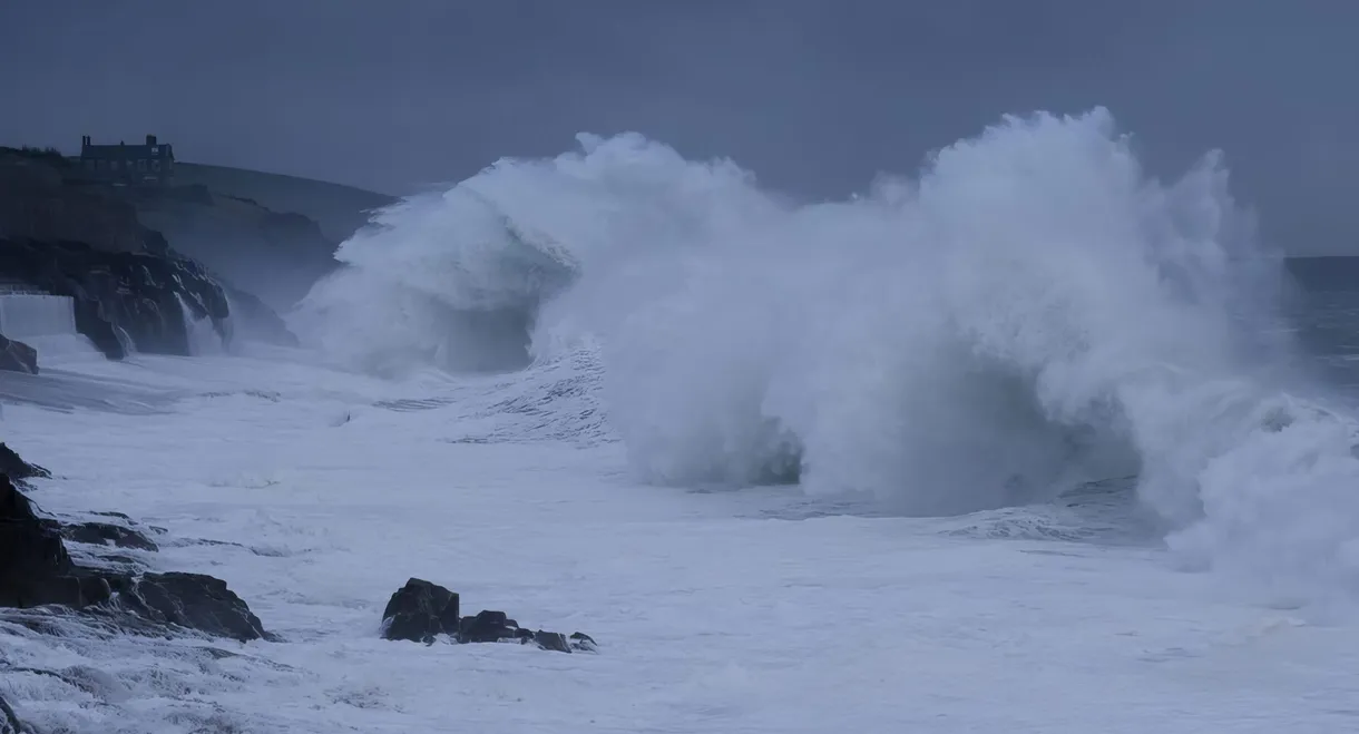 From the Wild Sea