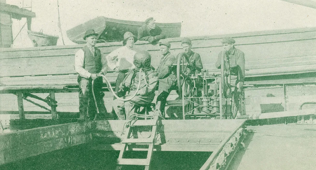 The Wreck of the Vega