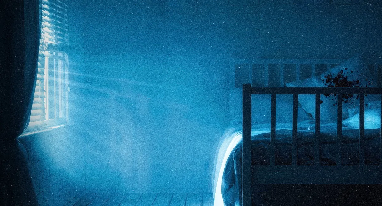 While They Were Sleeping