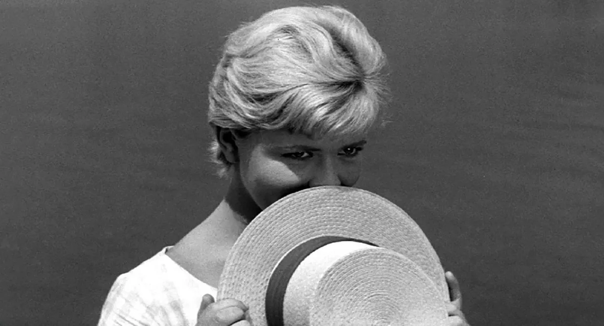 Summer Is to Blame for Everything