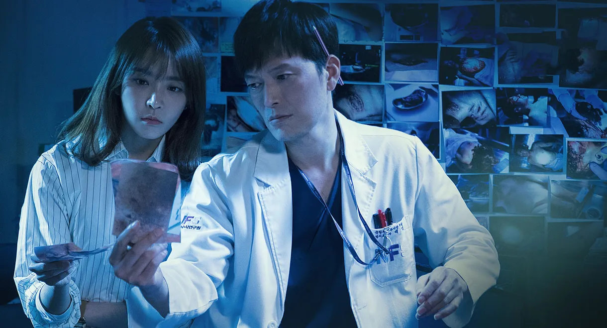 Partners for Justice