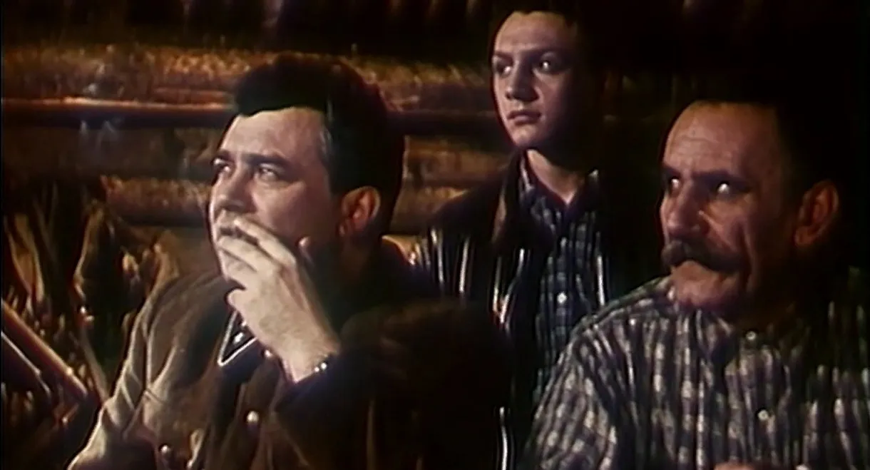 Без вести пропавший