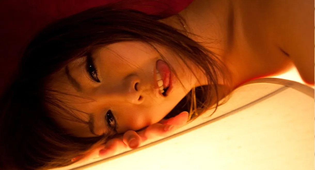 Memoirs of a Lady Ninja 2