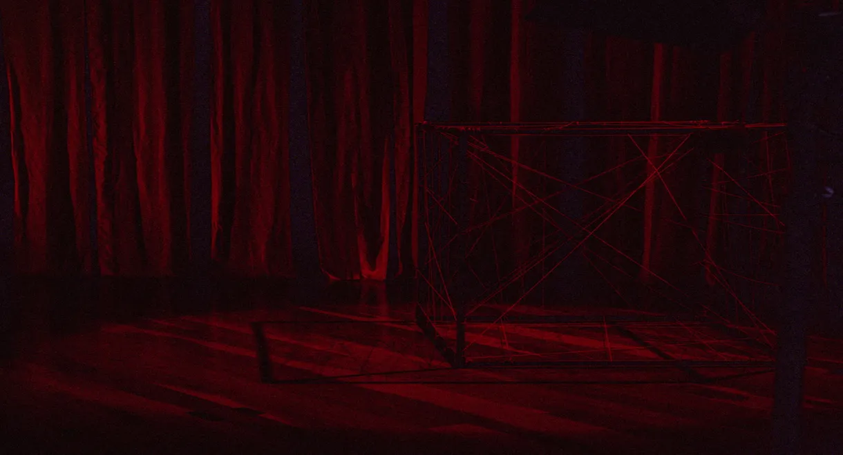 Sangue de Lobo, Pele de Cordeiro