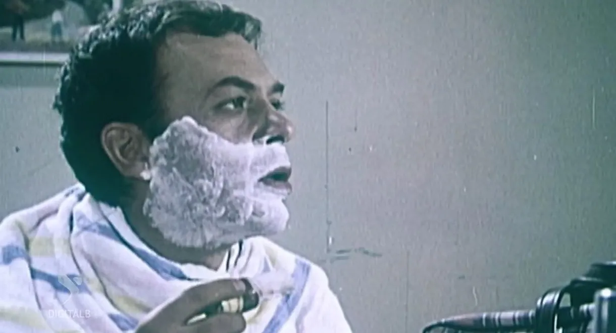 There is Life in the Snowy Forests