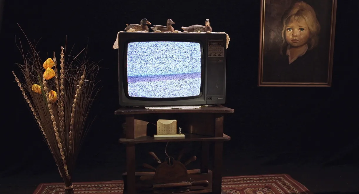 Uma História do Espectador de Cinema