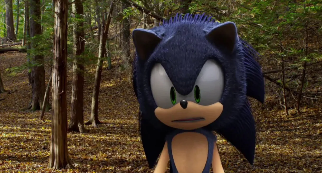 Sonic