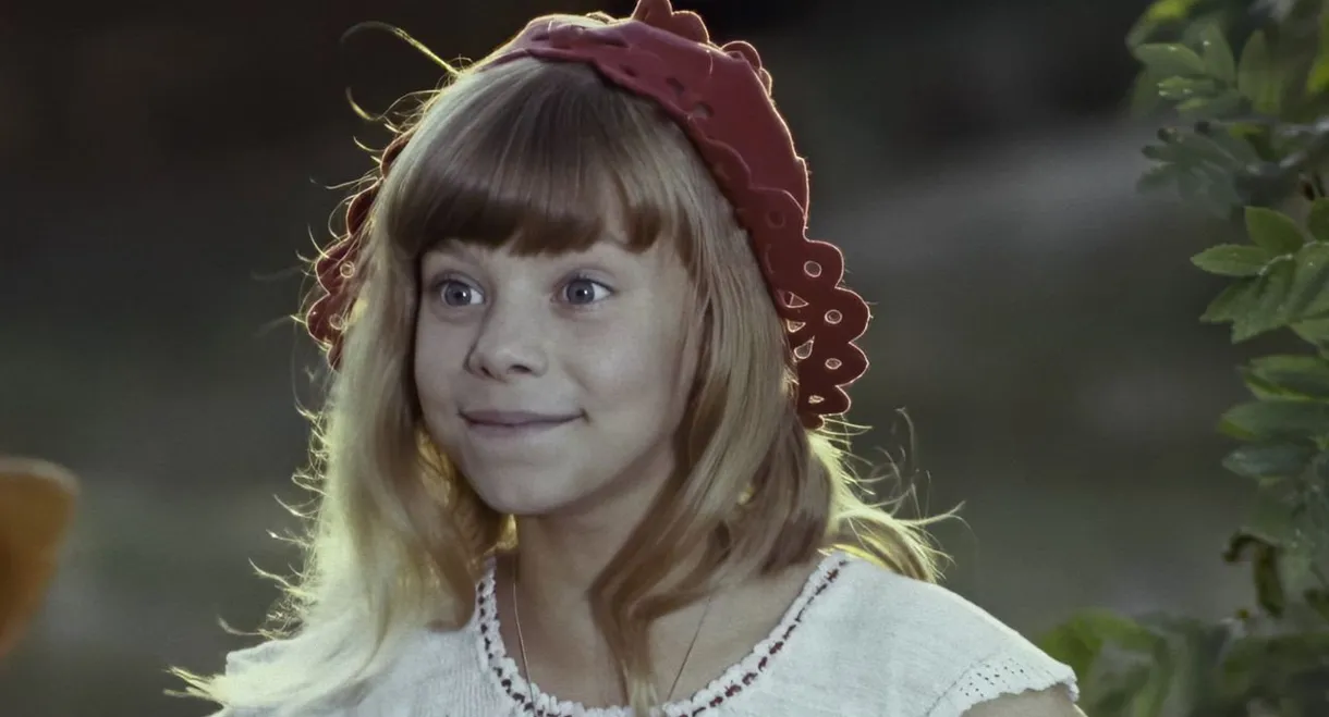 About the Little Red Riding Hood