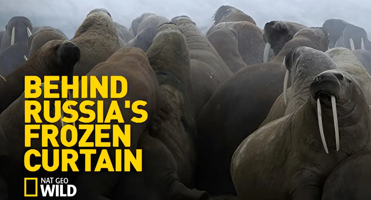 Behind Russia's Frozen Curtain