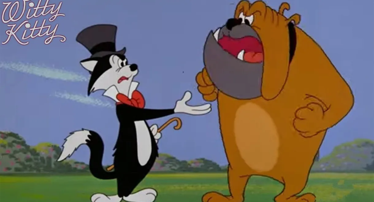 Witty Kitty