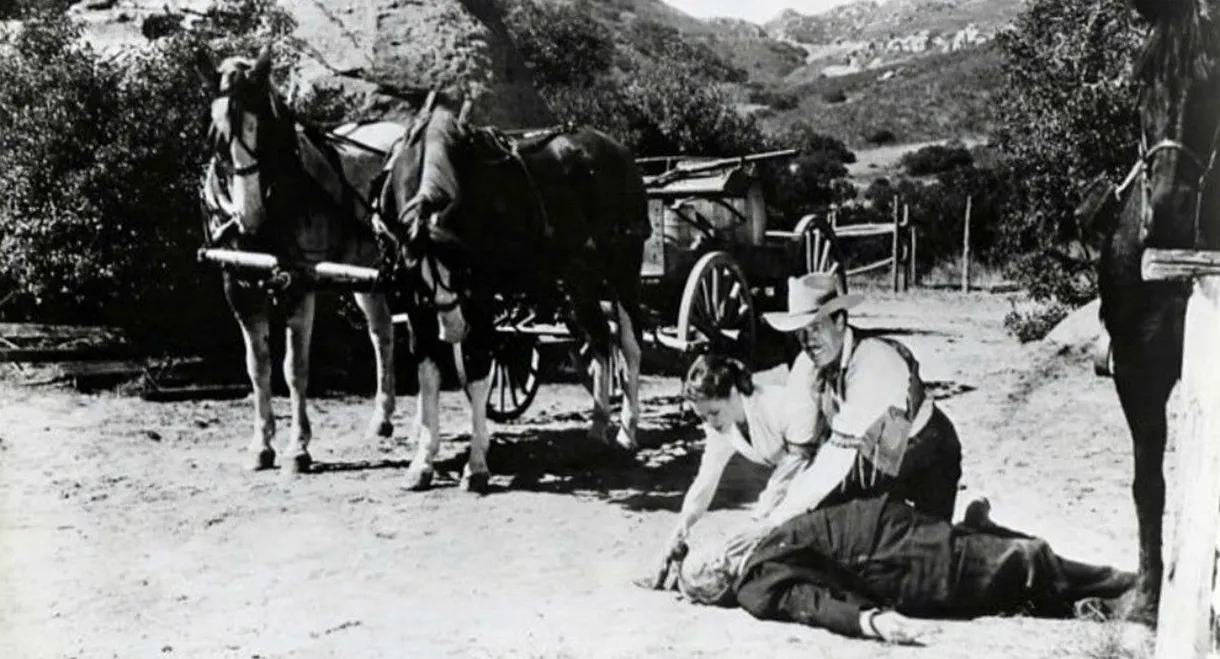 I Killed Wild Bill Hickok