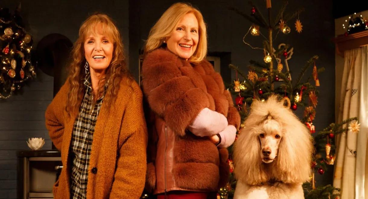 Mona & Marie - Eine etwas andere Weihnachtsgeschichte