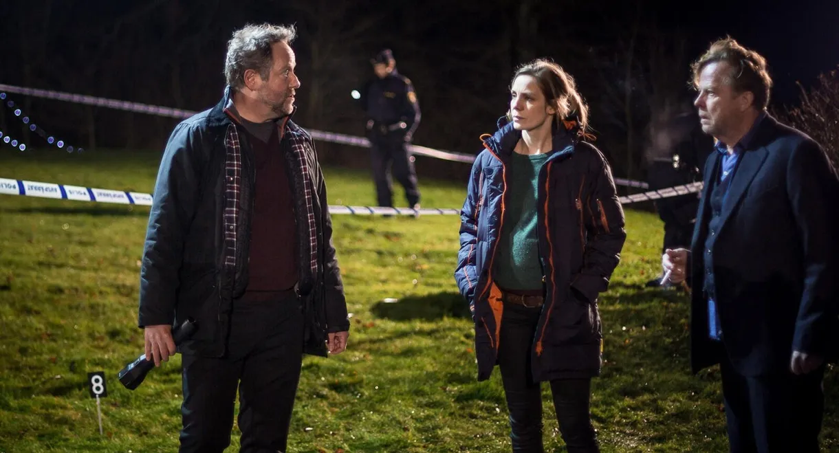 Wallander: The Sad Bird