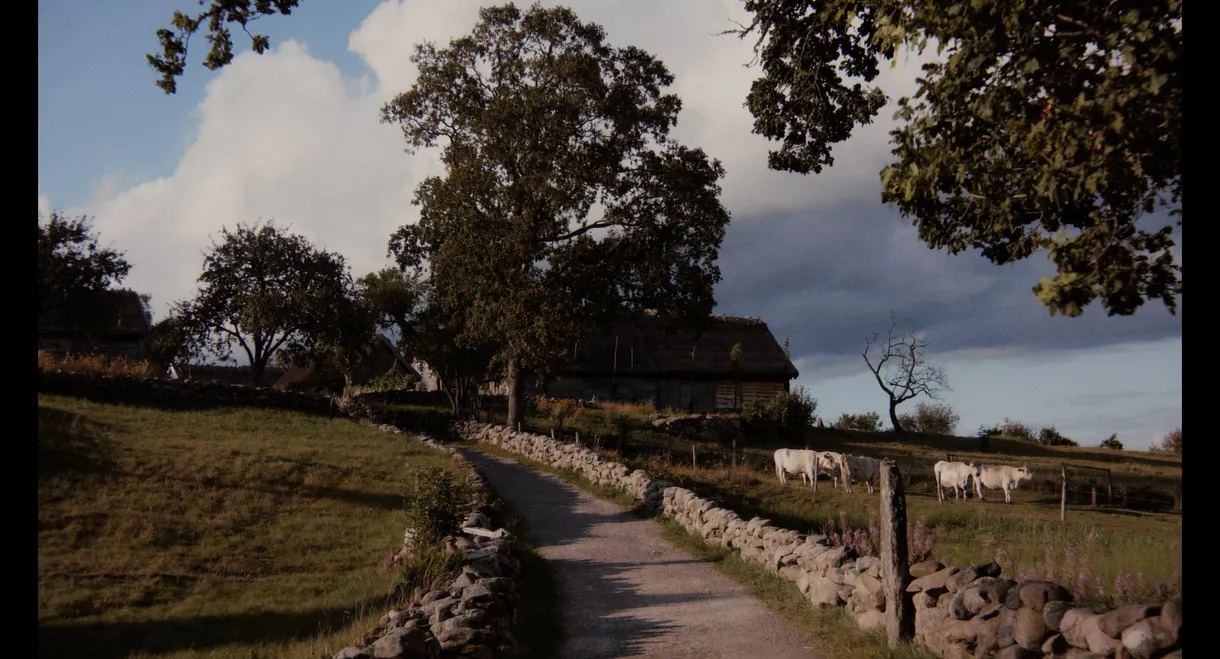 Äskhult - The Eternal Place