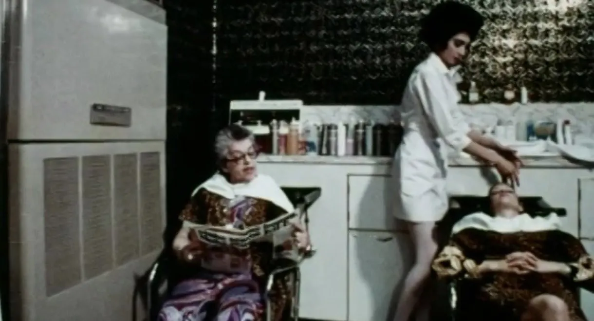 While the Cat's Away...