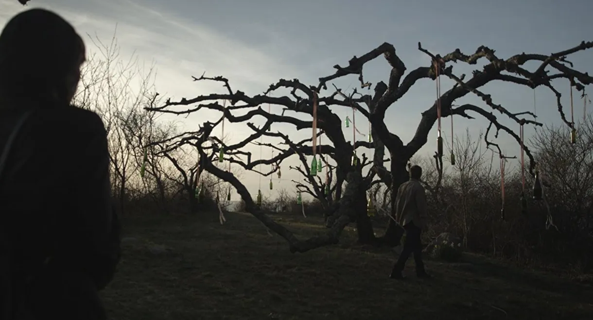 The Last Treasure Hunt