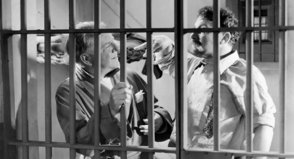 Man on the Flying Trapeze