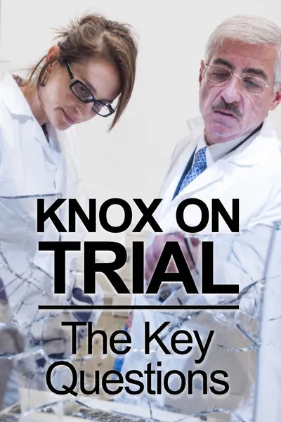 Amanda Knox Trial: 5 Key Questions