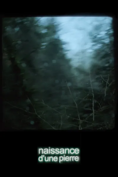 Once There Was a Storm