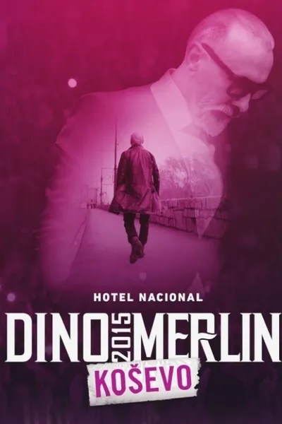 Dino Merlin Live at Kosevo 2015