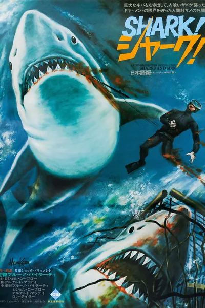 Men and Sharks