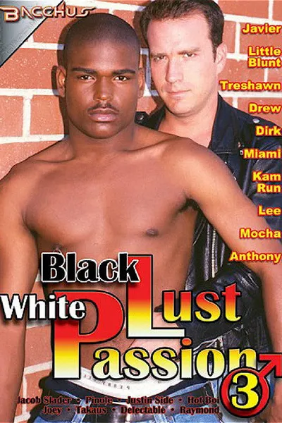 Black Lust White Passion 3