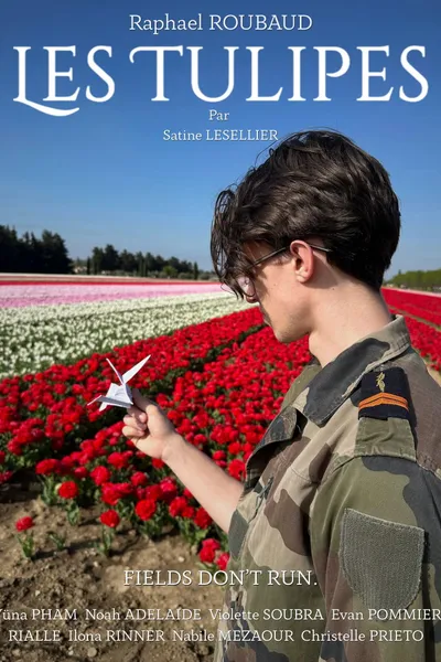 The Tulips