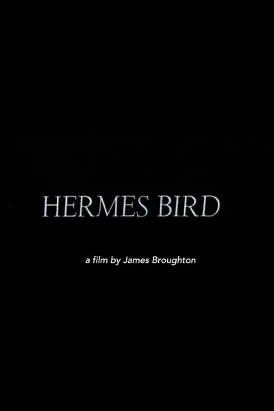 Hermes Bird