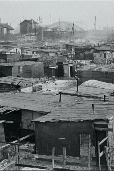 Une vie en transit, ou l'illusion du provisoire