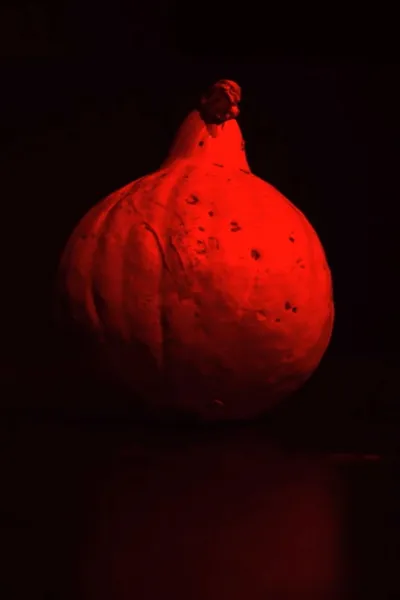 W dyni się nie mieści