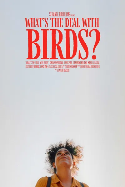 What's The Deal With Birds?