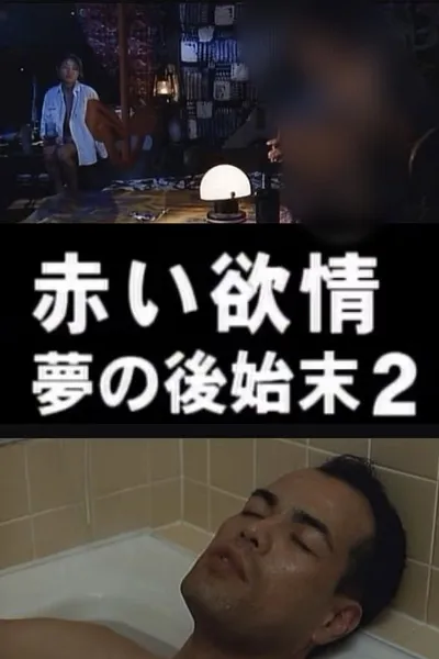 赤い欲情 夢の後始末 2